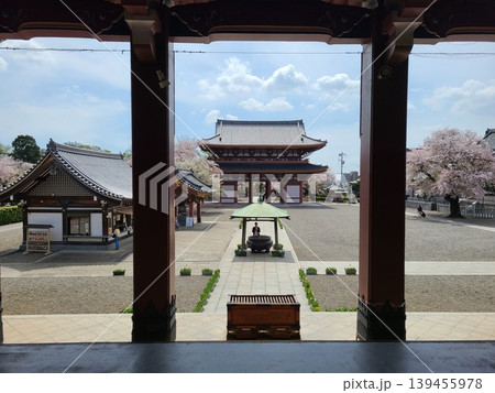 池上本門寺仁王門と桜 池上本門寺仁王門と桜 139455978