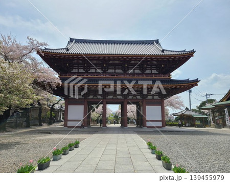 池上本門寺仁王門 池上本門寺仁王門 139455979