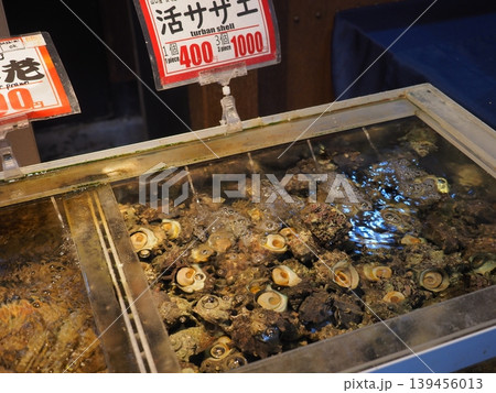 黒潮市場の活魚コーナー 生け簀に入った新鮮な活サザエの販売風景 139456013