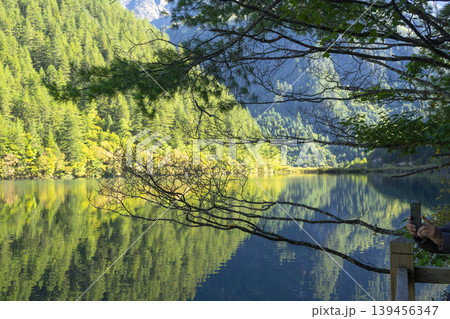 Amazing view of Mirror Lake with crystal clear water among mountains and evergreen woods in Jiuzhaigou nature reserve (Jiuzhai Valley National Park),China.  139456347