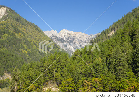 Amazing view of Mirror Lake with crystal clear water among mountains and evergreen woods in Jiuzhaigou nature reserve (Jiuzhai Valley National Park),China.  139456349