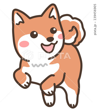ジャンプする柴犬 139456905