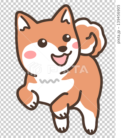 ジャンプする柴犬 139456905