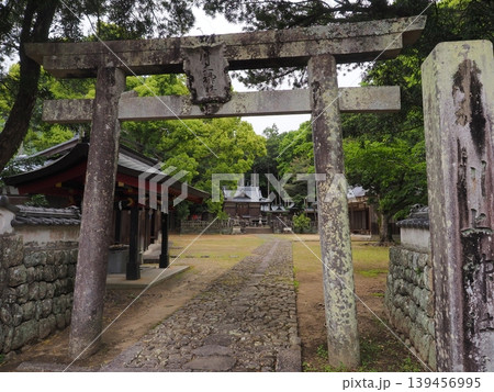 和歌山・上秋津の川上神社 苔むした石鳥居と新緑に包まれた静寂な境内 139456995