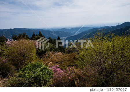 東京都御岳山山の肩から覗く春景 139457067