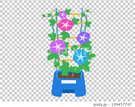 小學牽牛花 139457747