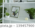 Modern white bookshelf decorated with green plants, art frame, and aesthetic ornaments. 139457900