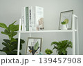 Modern white bookshelf decorated with a globe, books, and green indoor plants. 139457908