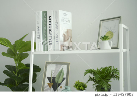 Modern white bookshelf decorated with a globe, books, and green indoor plants. 139457908