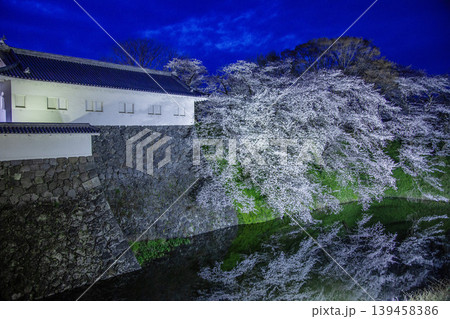 桜ライトアップ 桜ライトアップ 139458386