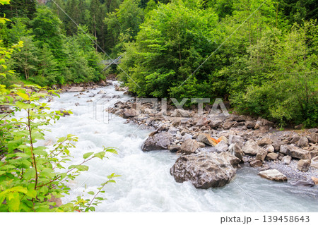 View of the Kander river in Switzerland View of the Kander river in Switzerland 139458643