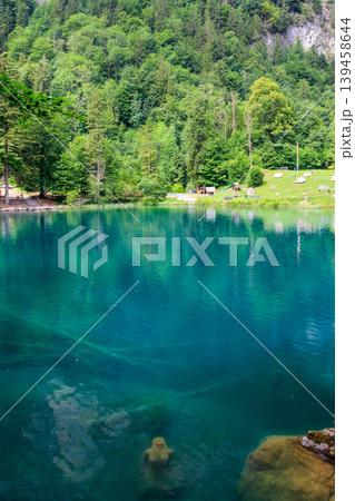 Underwater statue of young girl in Blausee lake (Blue Lake) in Bernese Oberland, Kandergrund, Switzerland Underwater statue of young girl in Blausee lake (Blue Lake) in Bernese Oberland, Kandergrund, Switzerland 139458644