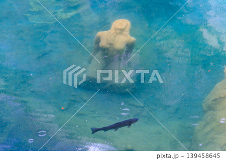 Underwater statue of young girl in Blausee lake (Blue Lake) in Bernese Oberland, Kandergrund, Switzerland 139458645