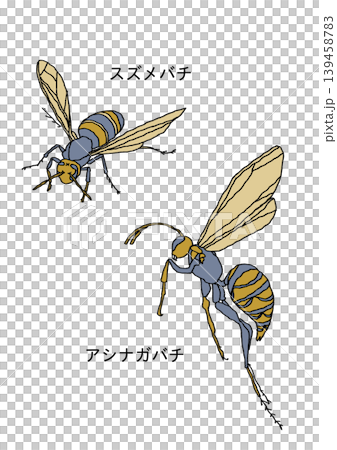 一隻蜜蜂 139458783