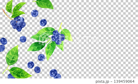 藍莓果實和葉子背景 - 手繪水彩插畫素材 藍莓果實和葉子背景 - 手繪水彩插畫素材 139459064