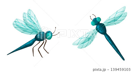 Two Teal Blue Dragonflies Set Illustration Clipart Two Teal Blue Dragonflies Set Illustration Clipart 139459103