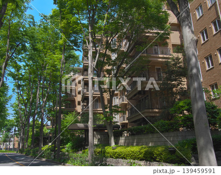 広尾の緑豊かな高級マンション 都市景観(2026年5月) 広尾の緑豊かな高級マンション 都市景観(2026年5月) 139459591