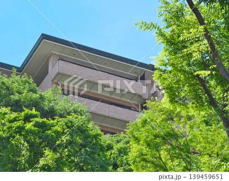 広尾の緑豊かな高級マンション　都市景観（2026年5月） 139459651