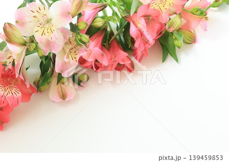 アストロメリアの花 139459853