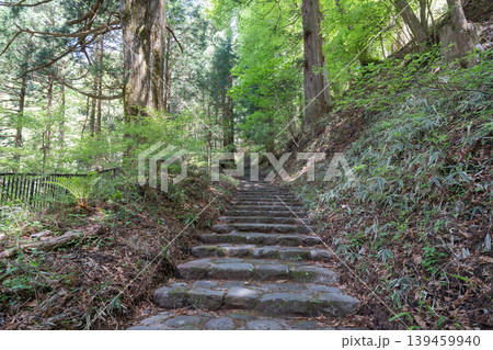 滝尾神社の参道(日光) 滝尾神社の参道(日光) 139459940