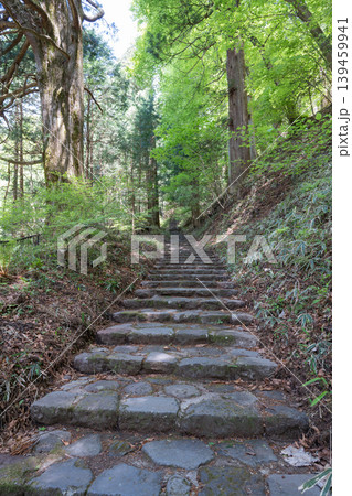 滝尾神社の参道(日光) 滝尾神社の参道(日光) 139459941