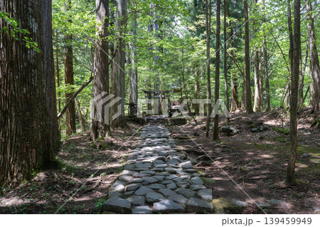 滝尾神社の運試しの鳥居（日光） 139459949