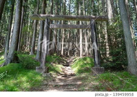 外山の登山道にある鳥居(日光) 外山の登山道にある鳥居(日光) 139459958