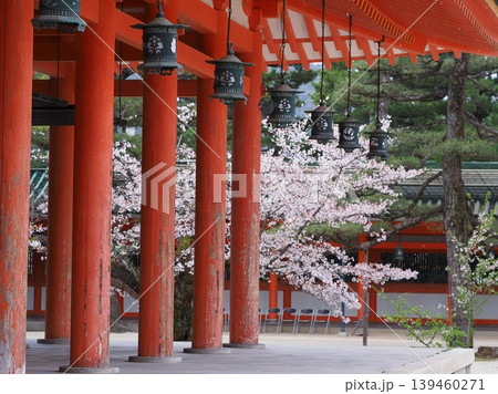 平安神宮の春景色 平安神宮の春景色 139460271