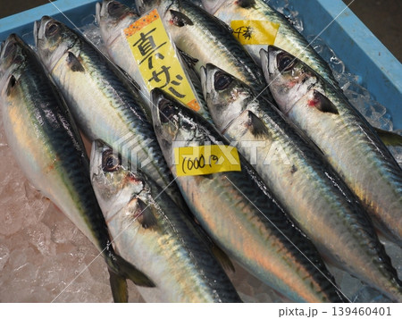 南紀白浜「とれとれ市場」の鮮魚コーナー 氷で冷やされた脂の乗った新鮮な真サバ 南紀白浜「とれとれ市場」の鮮魚コーナー 氷で冷やされた脂の乗った新鮮な真サバ 139460401
