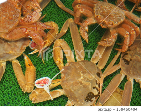 和歌山・南紀白浜「とれとれ市場」の新鮮なカニ ズワイガニや毛ガニが並ぶ豪華な海産物コーナー 139460404