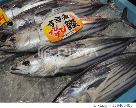 和歌山ブランド「すさみケンケン鰹」 南紀白浜・とれとれ市場に並ぶ鮮度抜群の初鰹 139460405