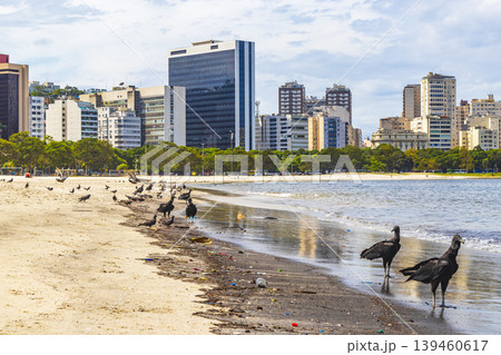 Tropical Black Vultures and pigeons Botafogo Beach Rio de Janeiro. 139460617