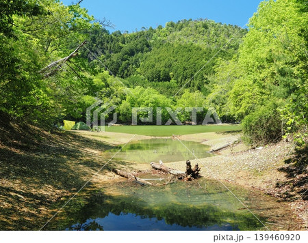 京都「沢の池」の新緑風景 139460920
