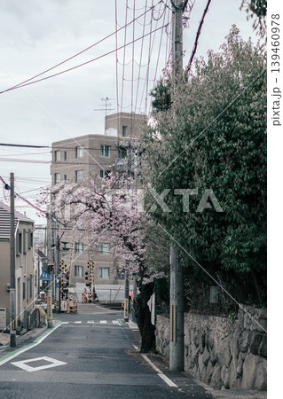 桜が咲く坂道の風景 桜が咲く坂道の風景 139460978