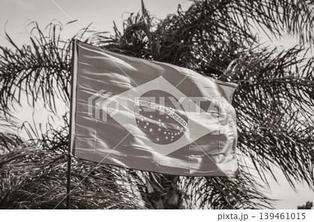 Brazilian flag with palm trees and blue sky background Brazil. 139461015