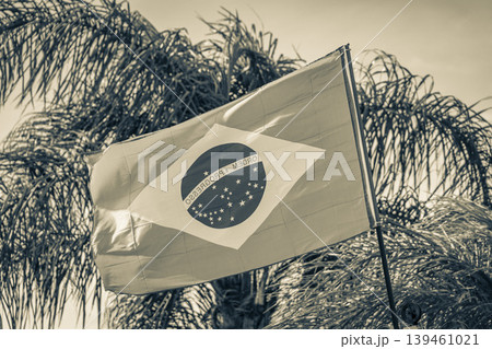 Brazilian flag with palm trees and blue sky background Brazil. Brazilian flag with palm trees and blue sky background Brazil. 139461021