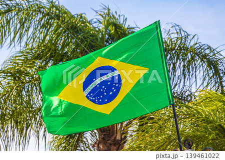 Brazilian flag with palm trees and blue sky background Brazil. Brazilian flag with palm trees and blue sky background Brazil. 139461022