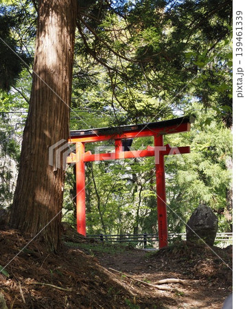 Beyond the red gate.-赤い鳥居の向こうへ- Beyond the red gate.-赤い鳥居の向こうへ- 139461339