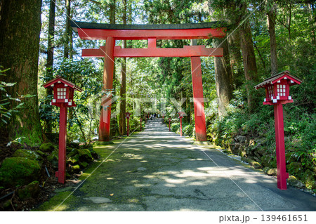 箱根神社参道入り口の鳥居 139461651