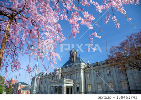 桜の文翔館 桜の文翔館 139461743