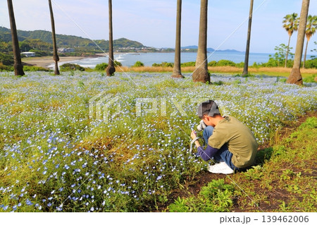 ネモフィラの花畑 写真を撮る男の子 ネモフィラの花畑 写真を撮る男の子 139462006