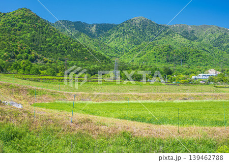 湖西地方比良の田園風景　滋賀県大津市 139462788
