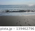 誰もいない波打ち際 139462796