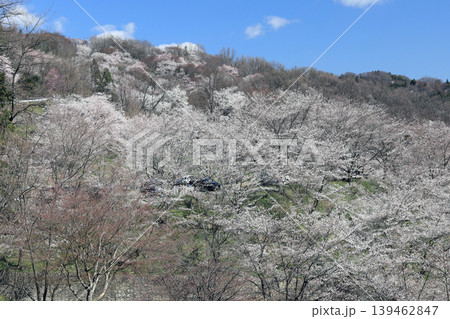 陸郷桜仙峡 陸郷桜仙峡 139462847