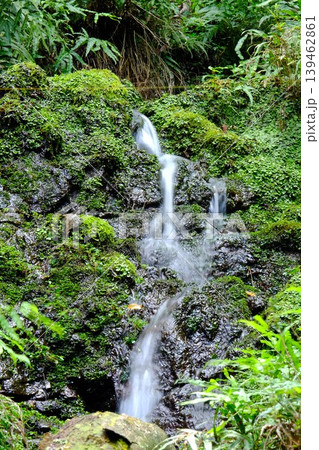 【神奈川県】岩から流れ出る小滝の水 139462861