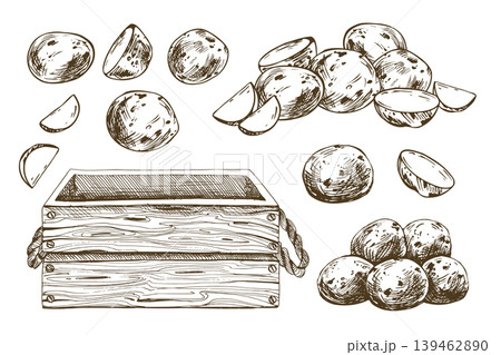 Hand drawn sketch illustration of fresh baby potato in wooden box. Farm harvest crop and organic vegetable design for grocery store, food package, cooking recipe and healthy nutrition menu. Hand drawn sketch illustration of fresh baby potato in wooden box. Farm harvest crop and organic vegetable design for grocery store, food package, cooking recipe and healthy nutrition menu. 139462890