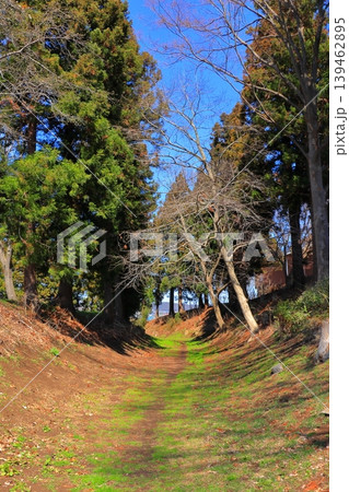 北国の春の訪れ|根城の広場で感じる季節の移ろい 散歩道の風景 北国の春の訪れ|根城の広場で感じる季節の移ろい 散歩道の風景 139462895