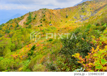 磐梯山の紅葉 中ノ湯付近から望む色付く山肌 秋の風景 福島県 磐梯山の紅葉 中ノ湯付近から望む色付く山肌 秋の風景 福島県 139463197