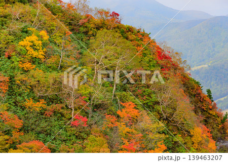 紅葉に染まる磐梯山の山肌 鮮やかな赤と黄色のコントラスト 秋の絶景 福島県 139463207