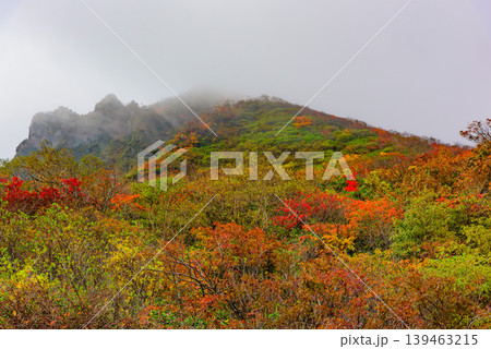 磐梯山から望む雲海と紅葉 湧き上がる雲と秋色の山肌の対比 福島県 磐梯山から望む雲海と紅葉 湧き上がる雲と秋色の山肌の対比 福島県 139463215